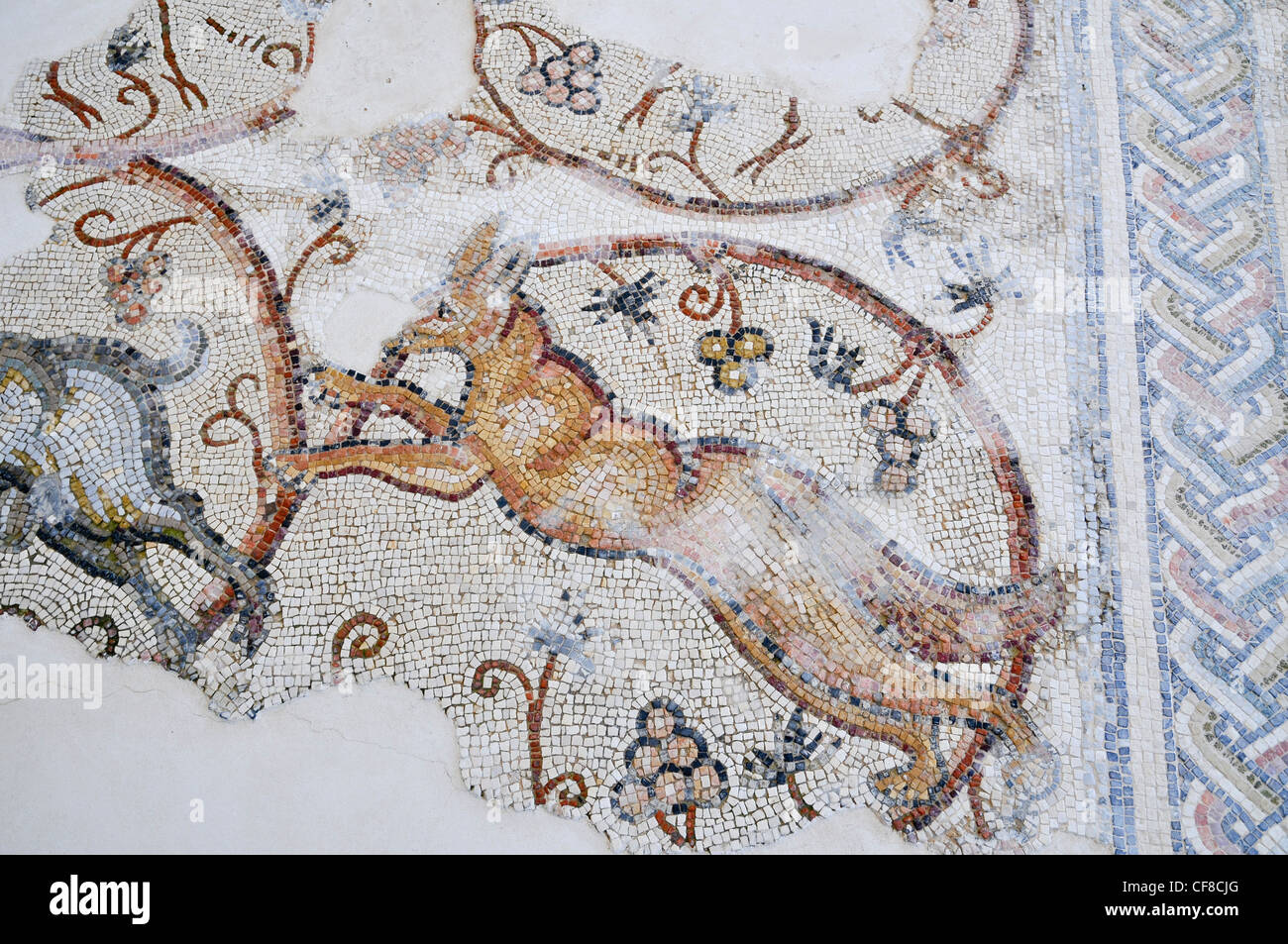 Israel, West Bank, The Good Samaritan Museum houses a collection of mosaics from the Holyland Stock Photo