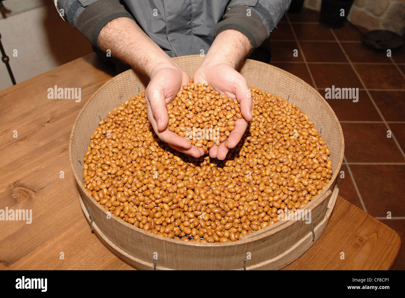 producer of beans hands italian farmer sarconi typical product of Sarconi village south Italy basilicata region italy Europe Stock Photo