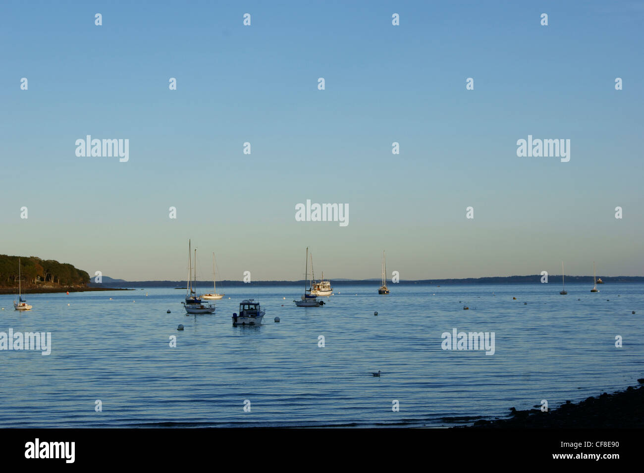 Boats at anchor in the inner harbor at sunset, Belfast, Maine. Stock Photo