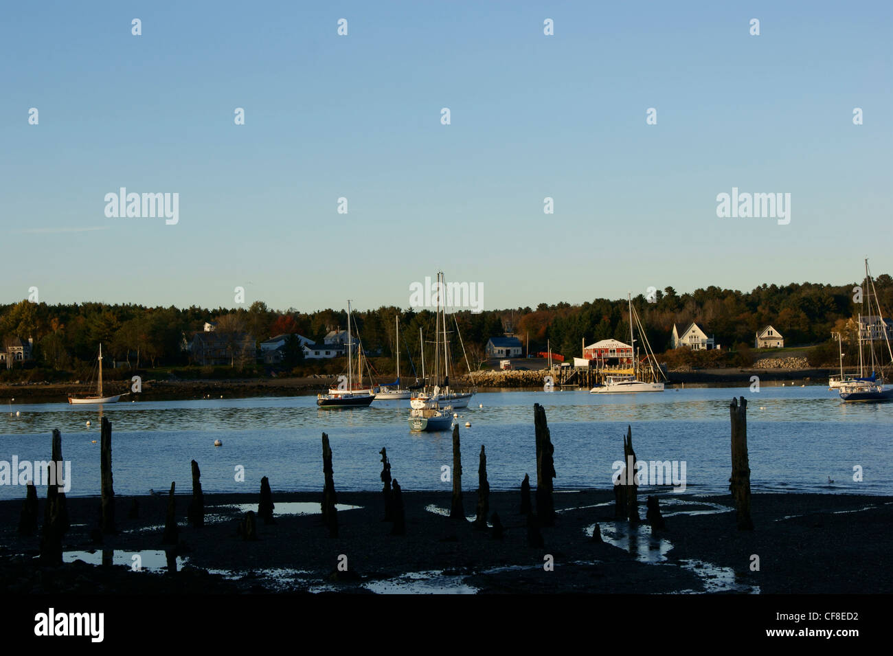 Sailboats at anchor in the inner harbor at sunset, Belfast, Maine Stock