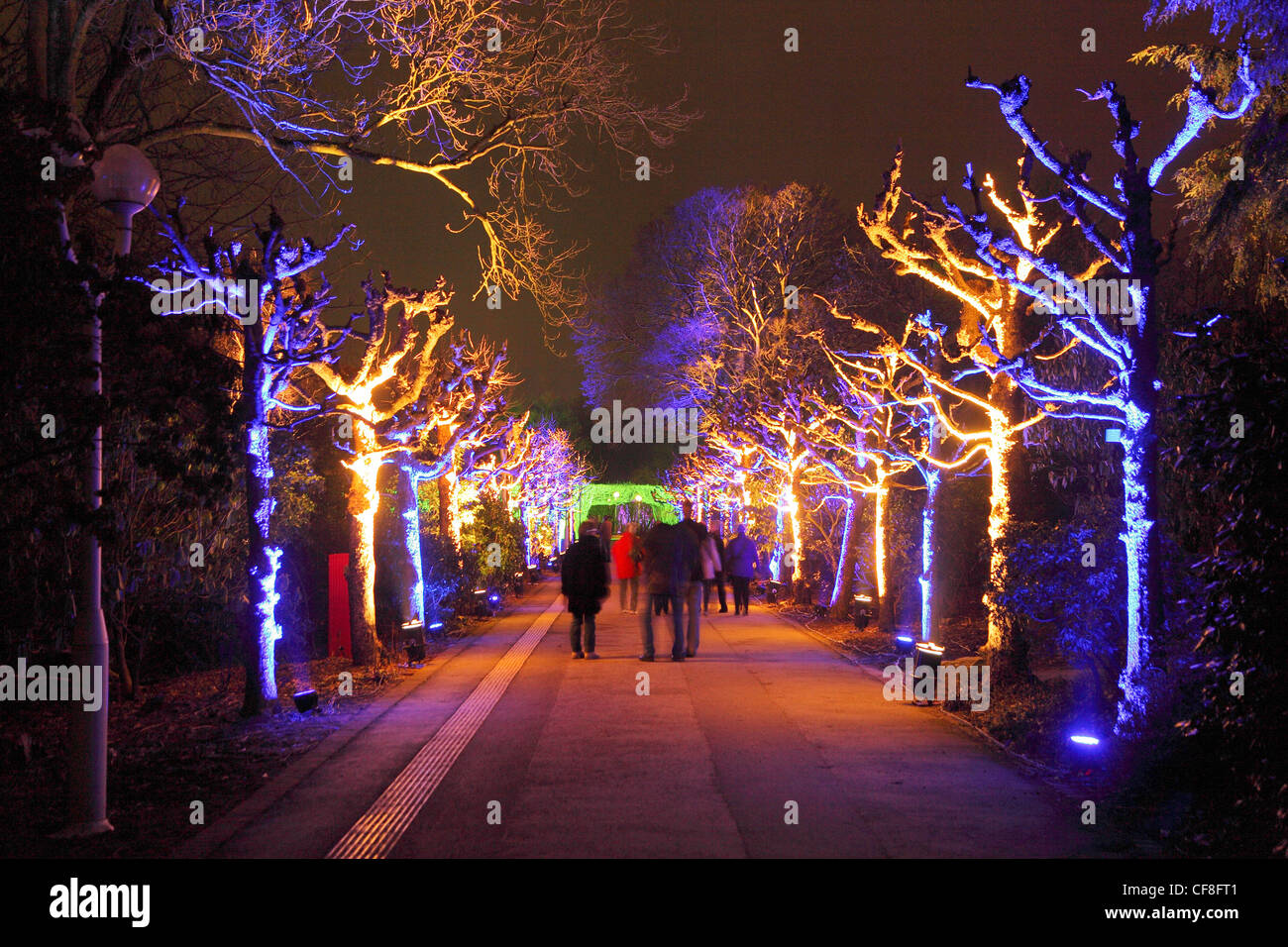 Light art installations in Gruga Park, in Essen, Germany. Light