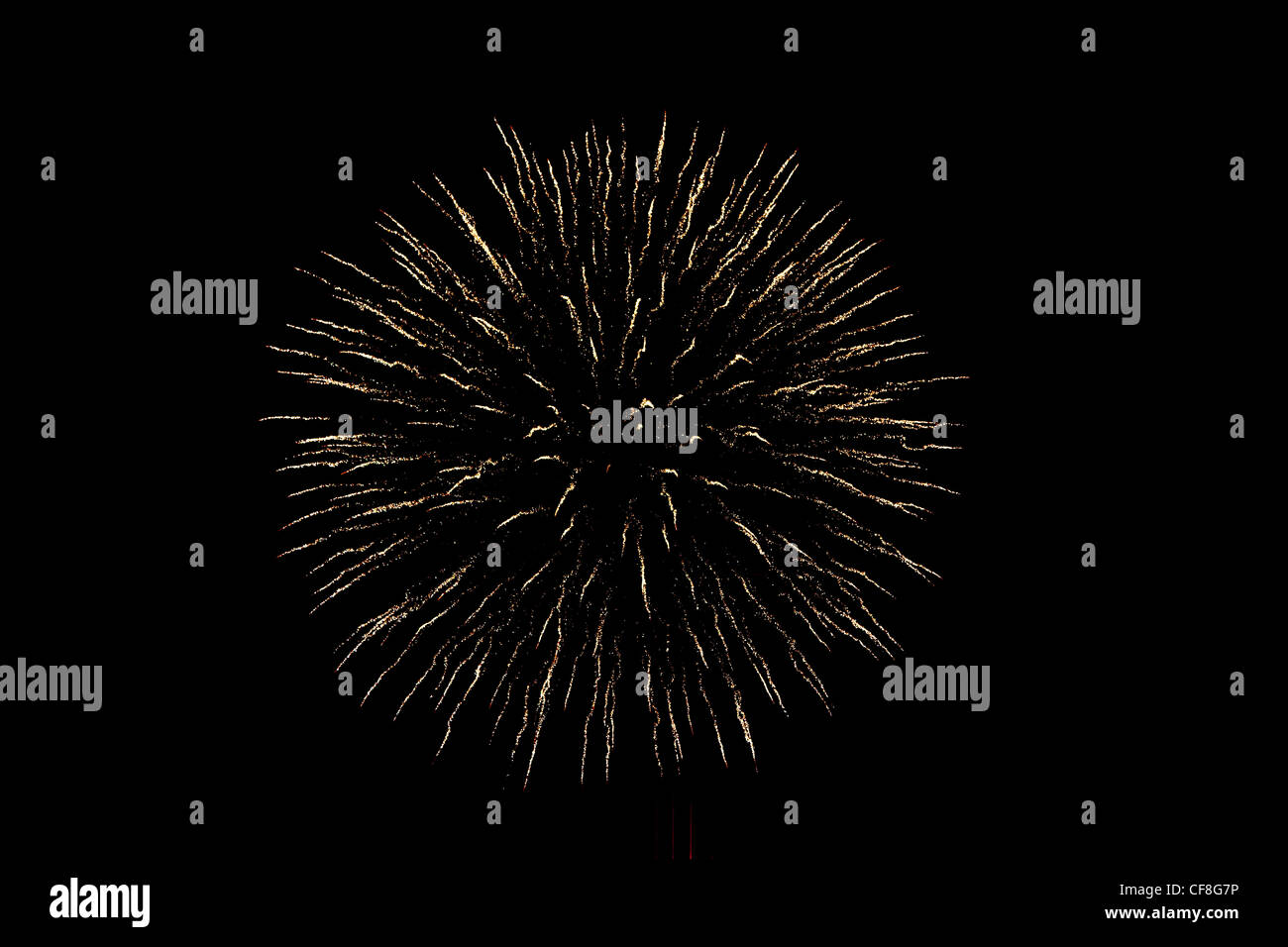 Firework in night sky Stock Photo