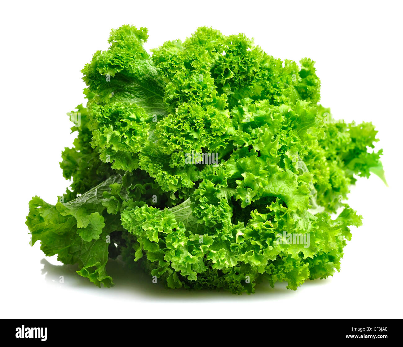 Fresh Curly Mustard Green Leaves Stock Photo