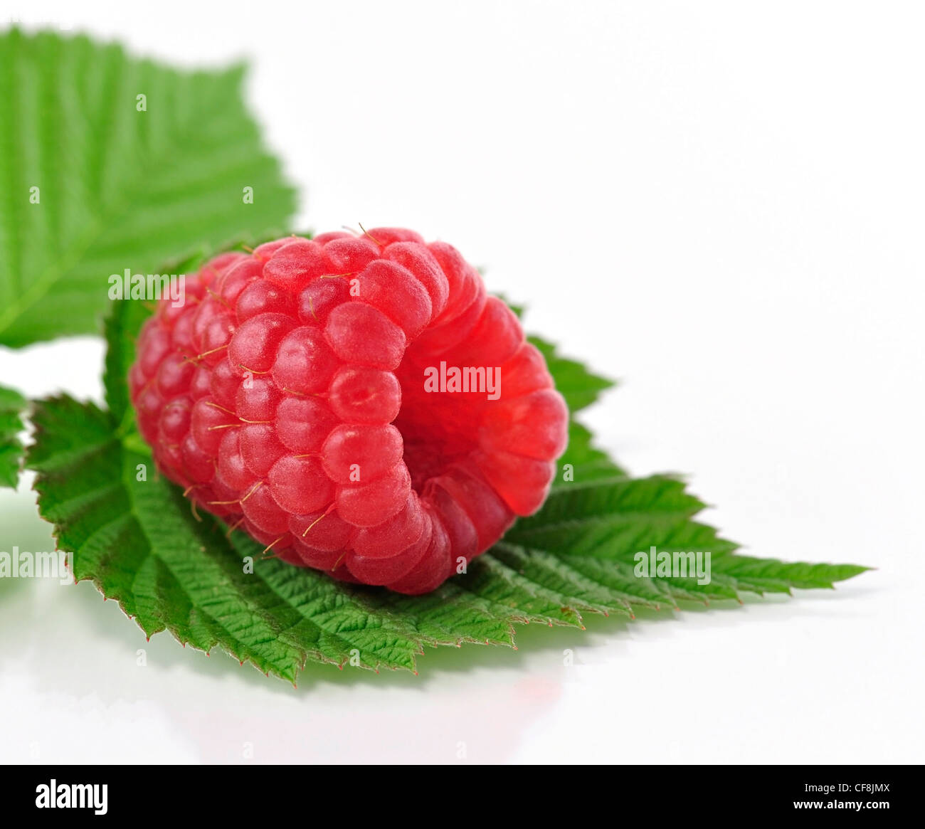 fresh raspberry on white background Stock Photo - Alamy