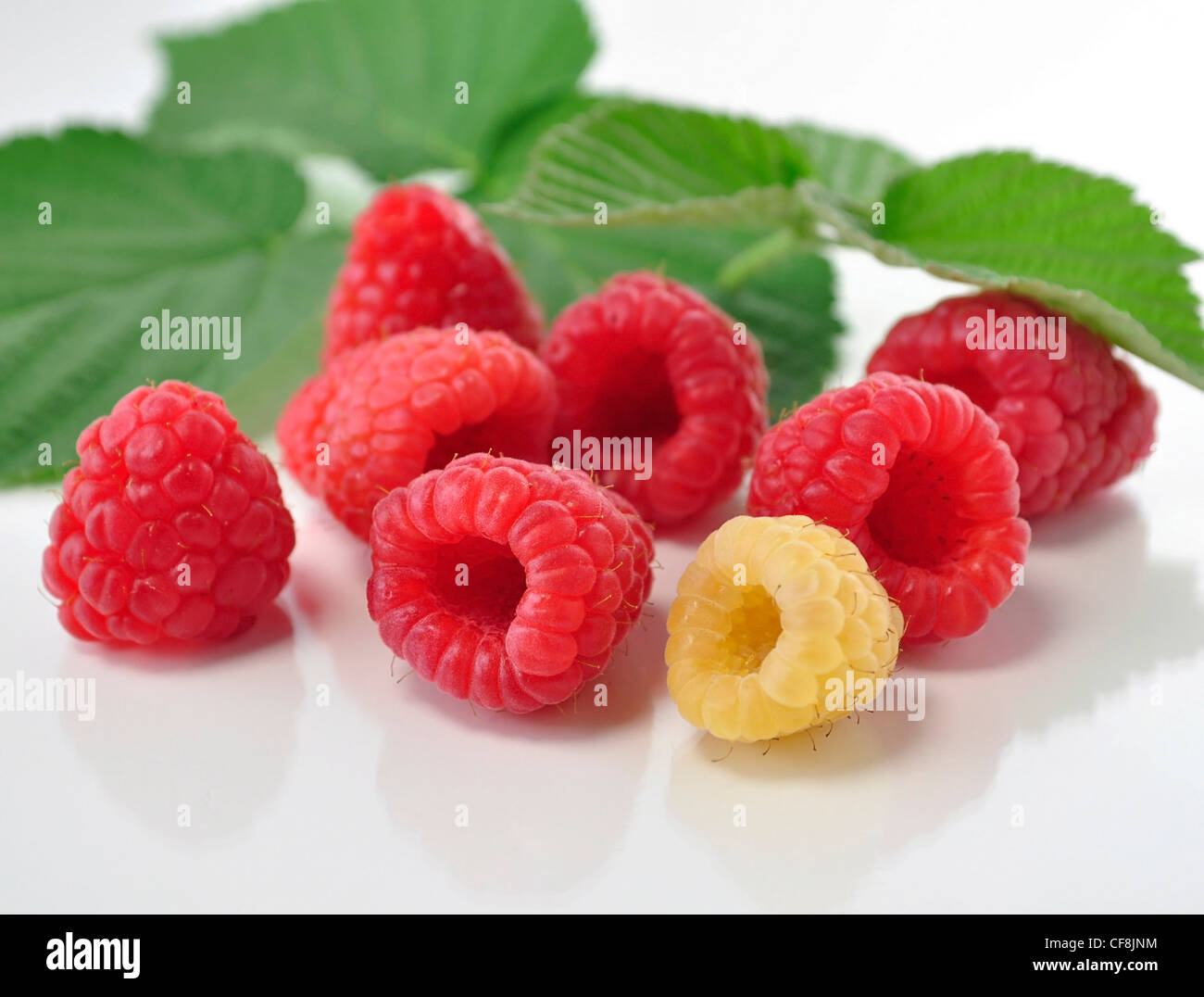 Red Andyellow Raspberry Yellow raspberries hi-res stock photography and images - Alamy