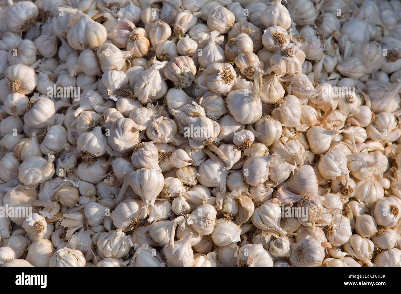 Bell garlic hi-res stock photography and images - Alamy
