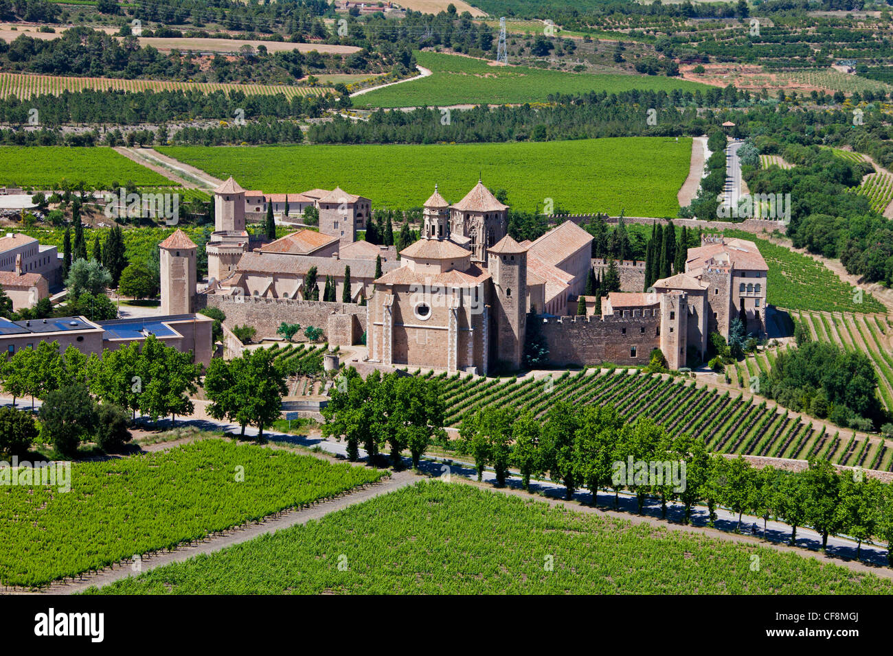 Spain, Europe, Tarragona, Poblet, Monastery, world heritage, green, Mediterranean, remote, spring, unesco, vineyard Stock Photo