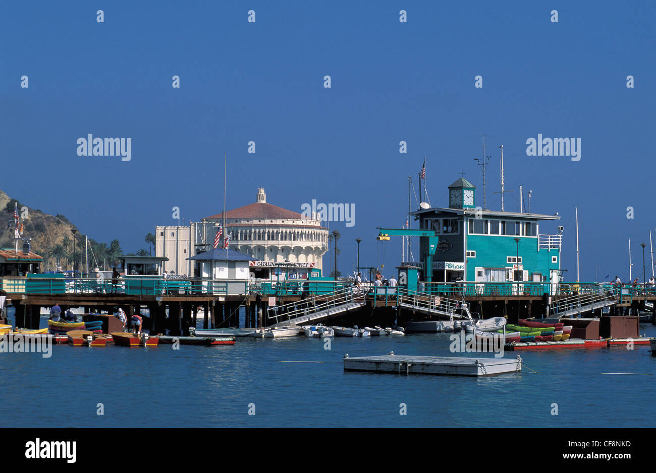 Harbor, Pier, Pacific, ocean, palm trees, Avalon, Catalina Island, California, USA, United States, America, Stock Photo