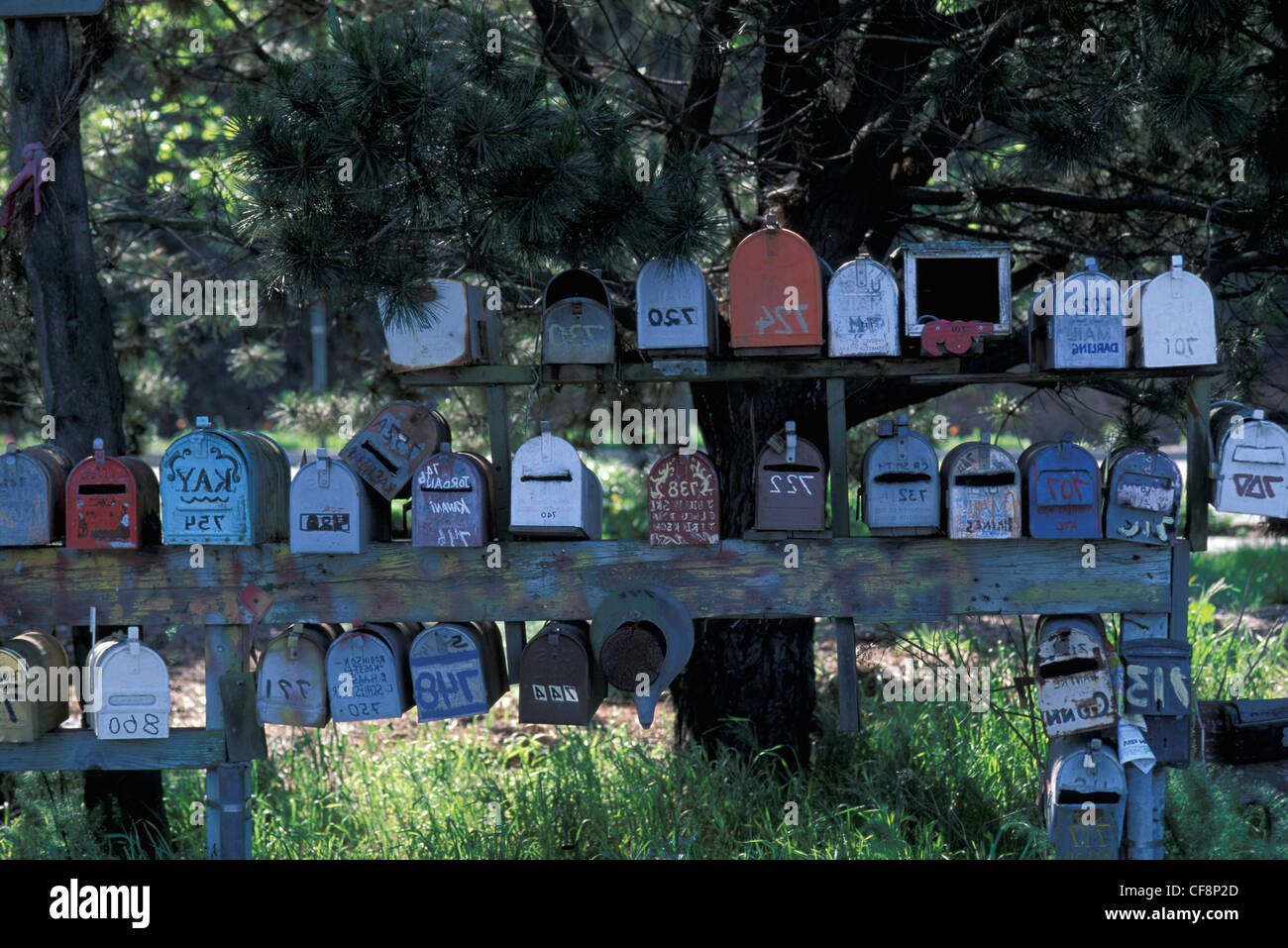 Mail boxes, Sausalito, Bay Area, Marin, California, USA, United States, America, Letter box, rural, San Francisco, countryside, Stock Photo