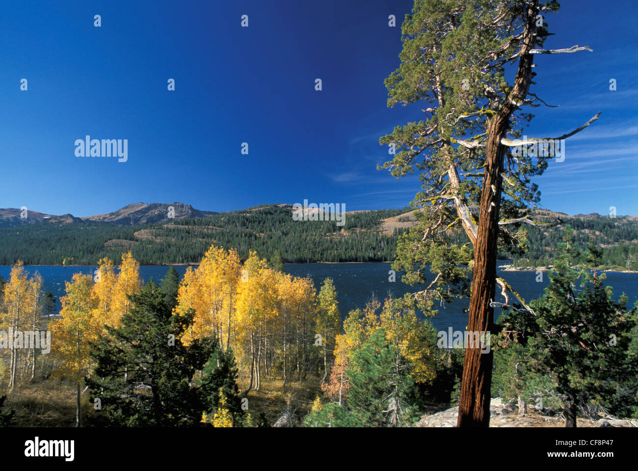 Caples Lake, Sierra Nevada, Highway, 88, California, USA, United States, America, Mountain lake 