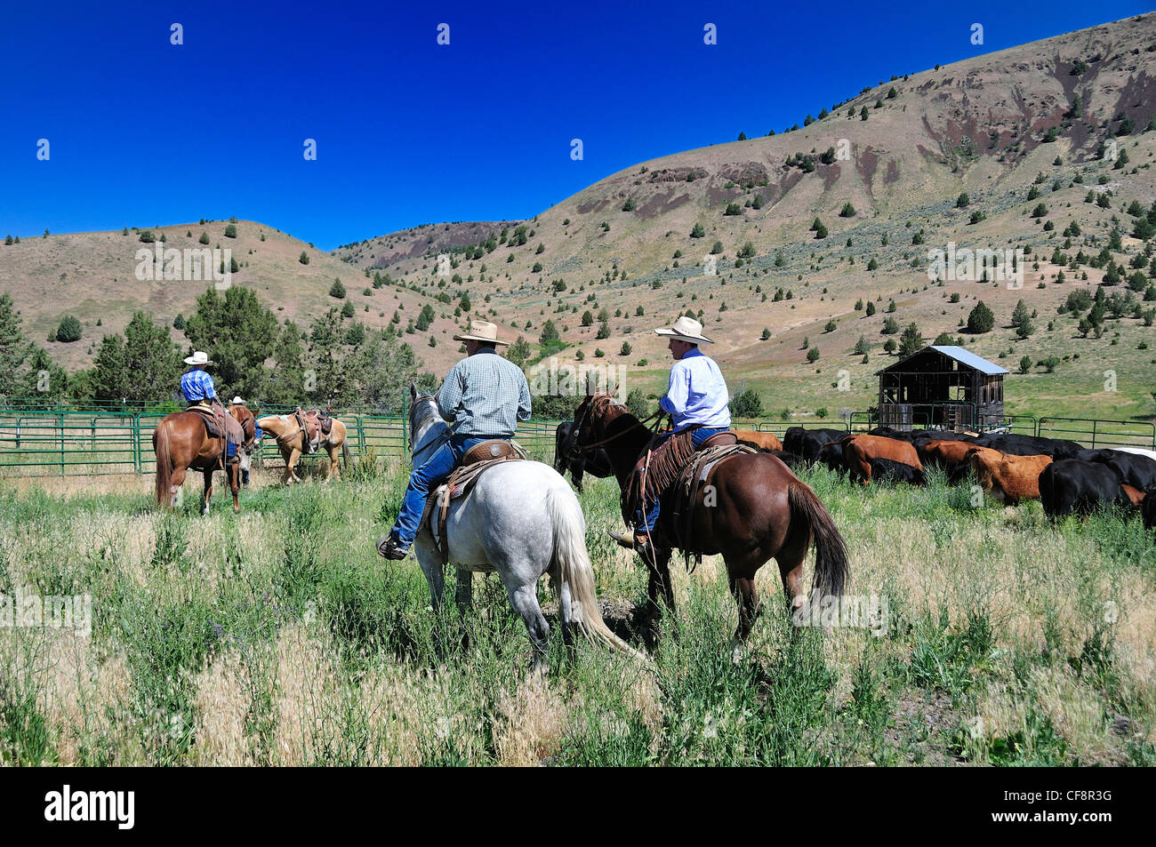 Wilson ranch hi-res stock photography and images - Alamy