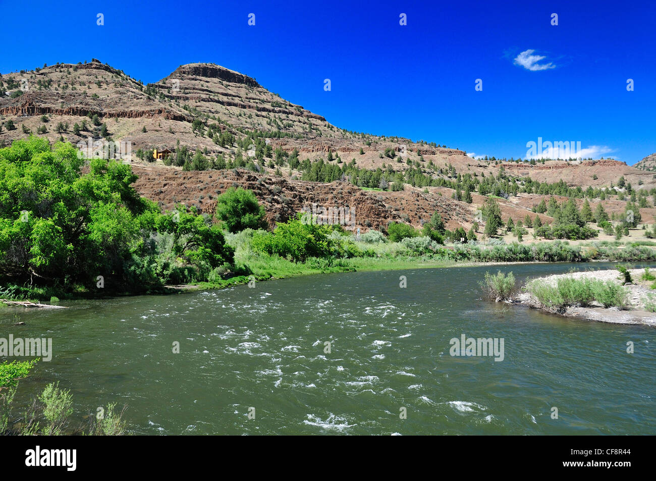 John Day, river, Mitchell, Oregon, USA, United States, America, swift