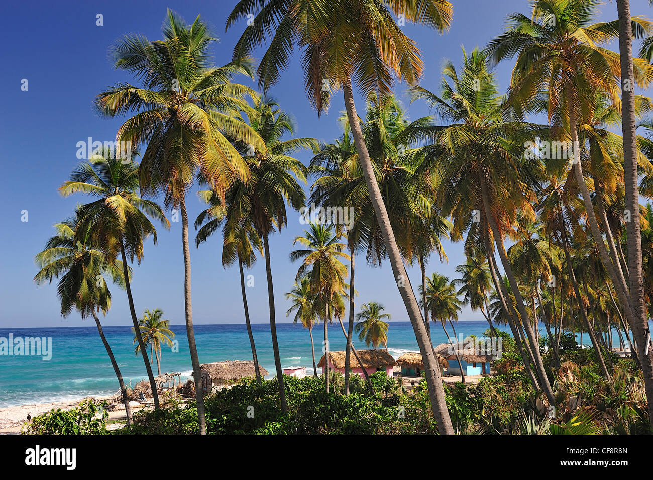 Bahoruco beach hi-res stock photography and images - Alamy