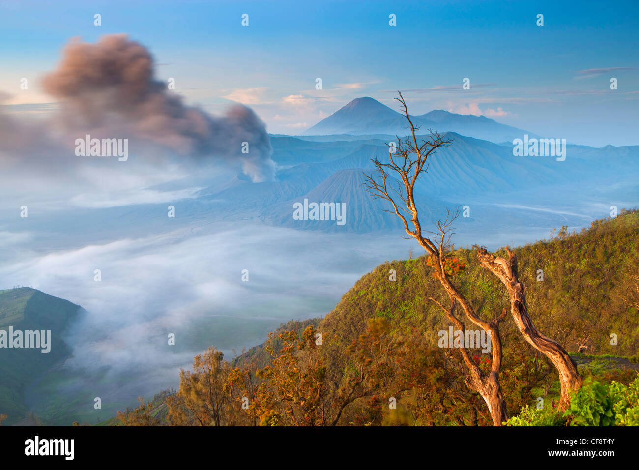 Bromo, Indonesia, Asia, Java, volcanoes, volcanism, geology, crater ...