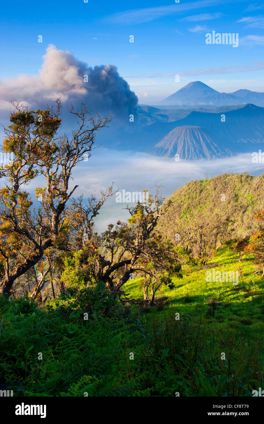 Bromo, Indonesia, Asia, Java, volcanoes, volcanism, geology, crater ...