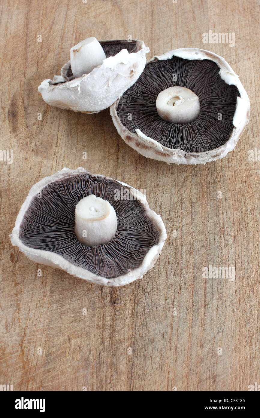 Large flat mushroom hi-res stock photography and images - Alamy