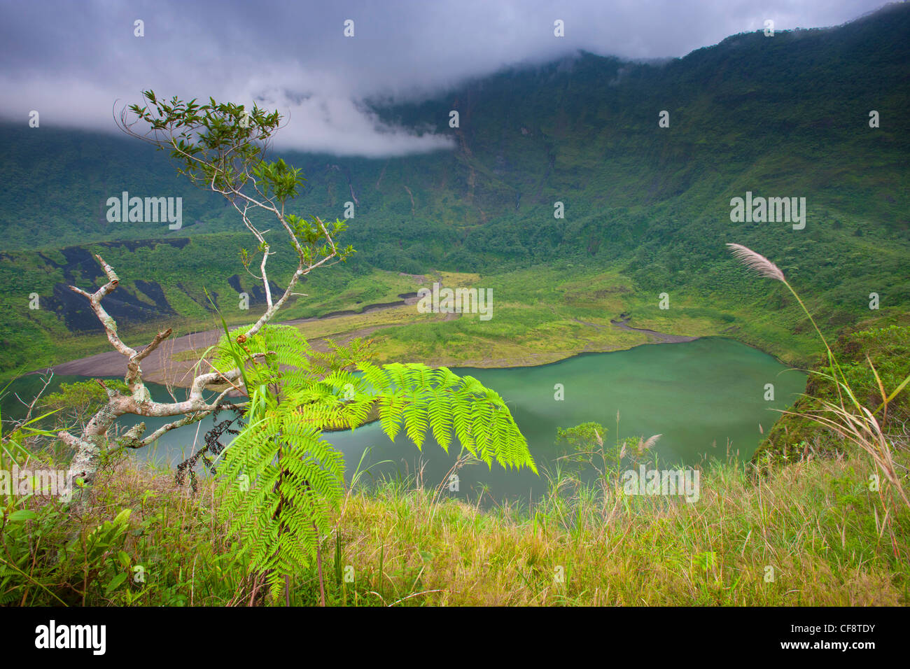 Galunggung, Indonesia, Asia, Java, volcano, volcanism, geology, crater, crater lake, lake, trees, fern, clouds, thunderstorm, mo Stock Photo