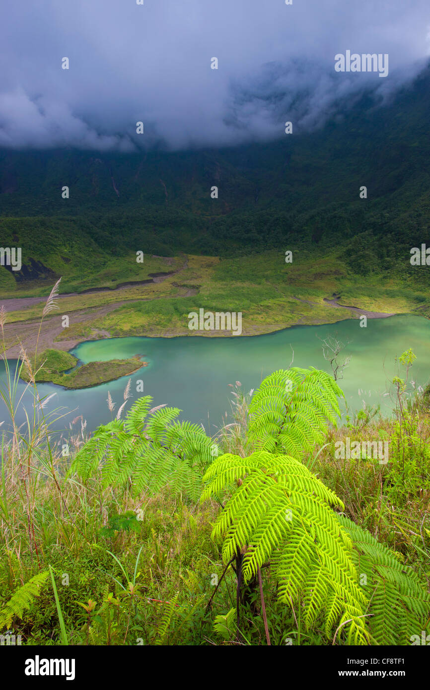 Galunggung, Indonesia, Asia, Java, volcano, volcanism, geology, crater, crater lake, lake, fern, thunderstorm, mood mood Stock Photo
