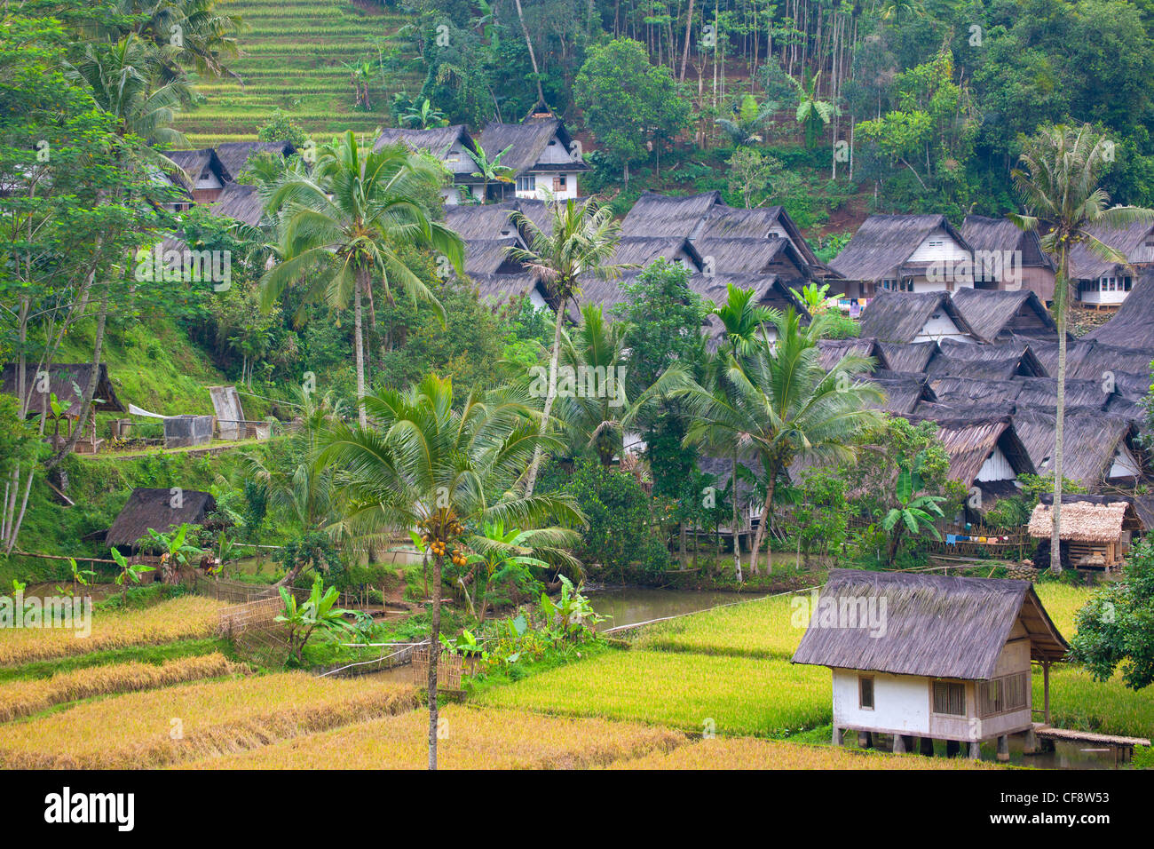 Kampung Naga, Indonesia, Asia, Java, village, houses, homes, palms ...