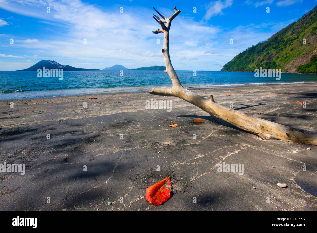 Rakata, Indonesia, Asia, Java, sea, travel, vacation, holidays, island, isle, mountain, beach, seashore, sheets, leaves, wood Stock Photo
