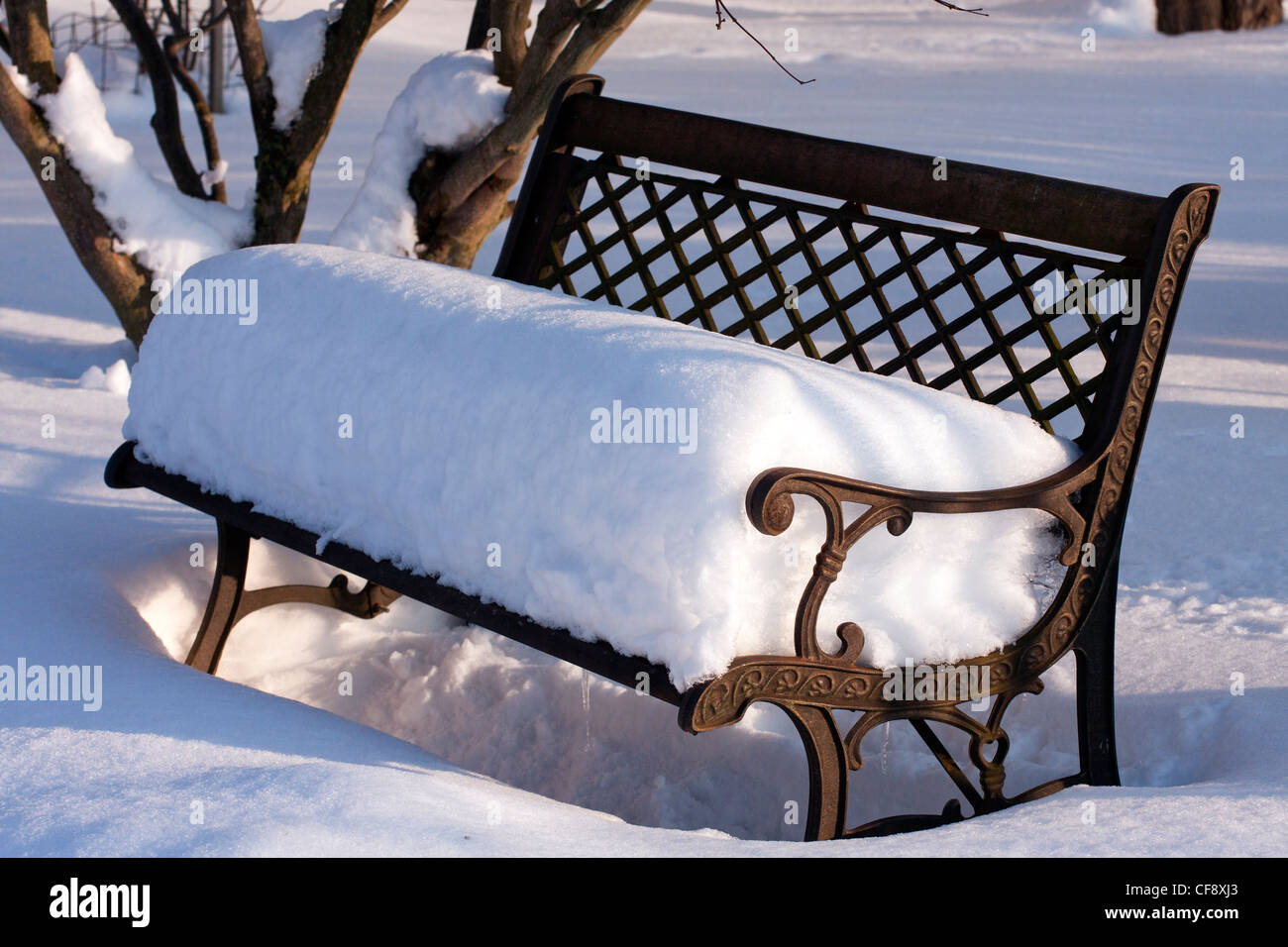 Bench in the park covered with snow Stock Photo - Alamy