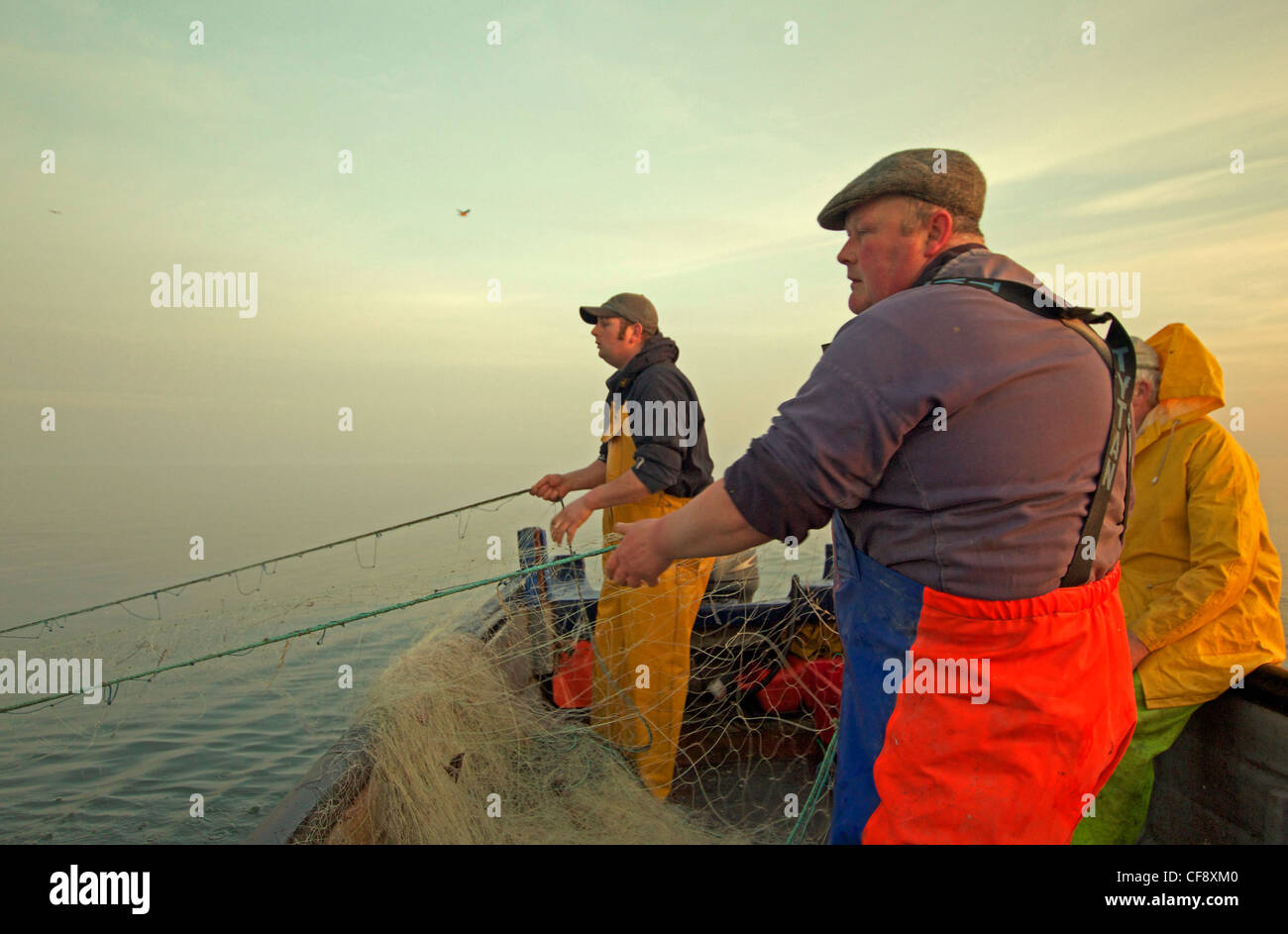 https://c8.alamy.com/comp/CF8XM0/fishermen-take-the-strain-as-they-haul-there-net-to-bring-in-the-morning-CF8XM0.jpg