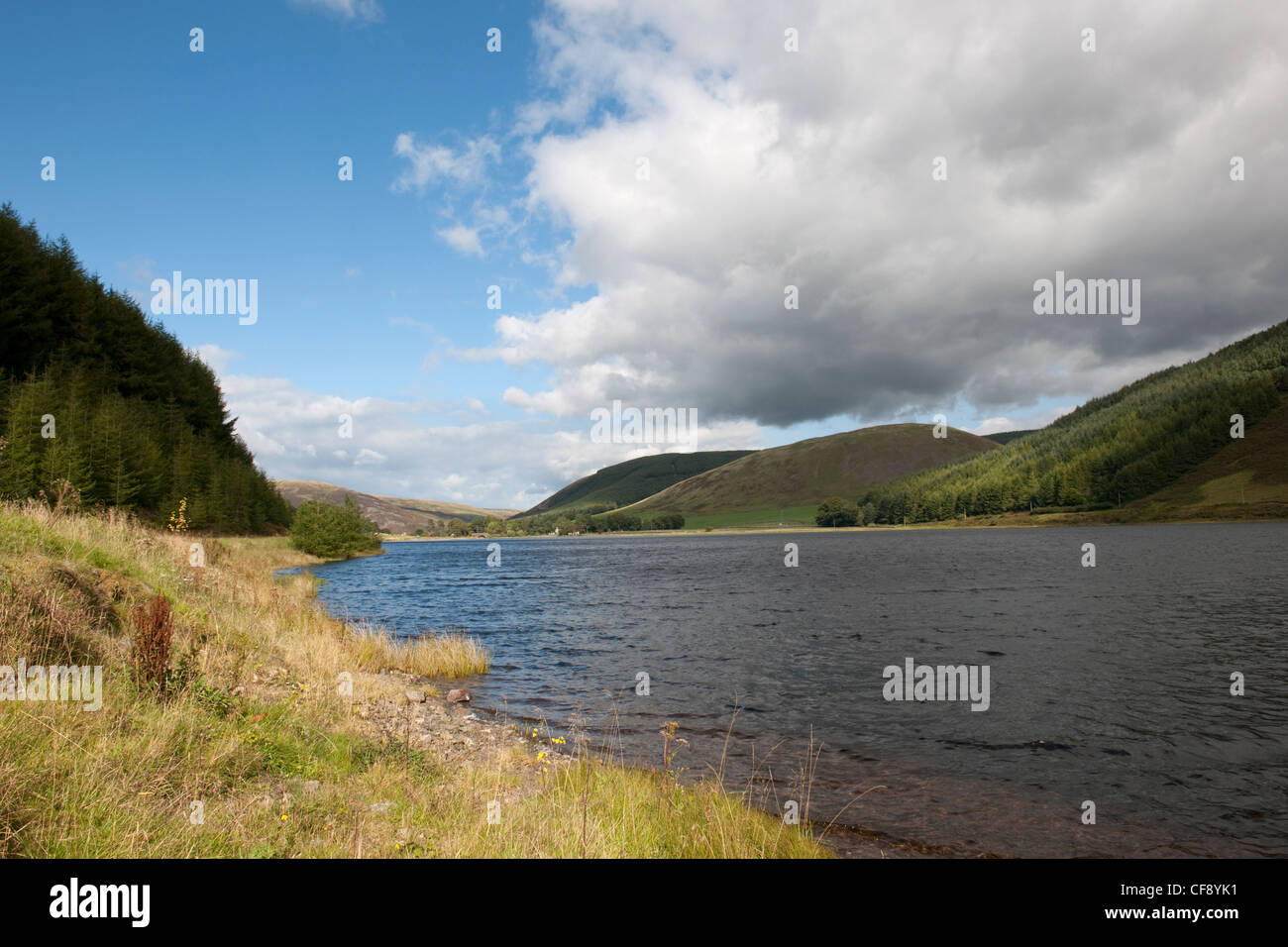 Loch of Lowes is a loch near Dunkeld in Perth & Kinross, Scotland. loch & surrounding area are designated as a wildlife Stock Photo