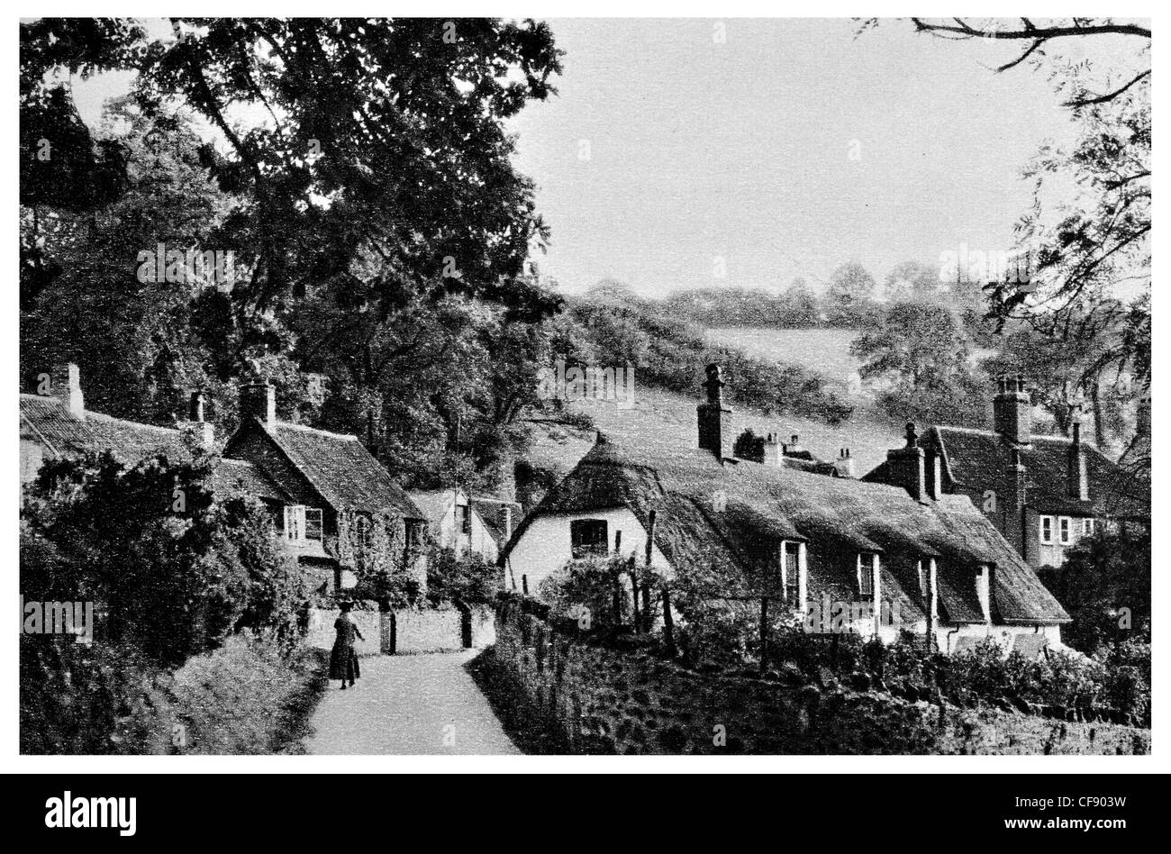 Holford somerset hires stock photography and images Alamy