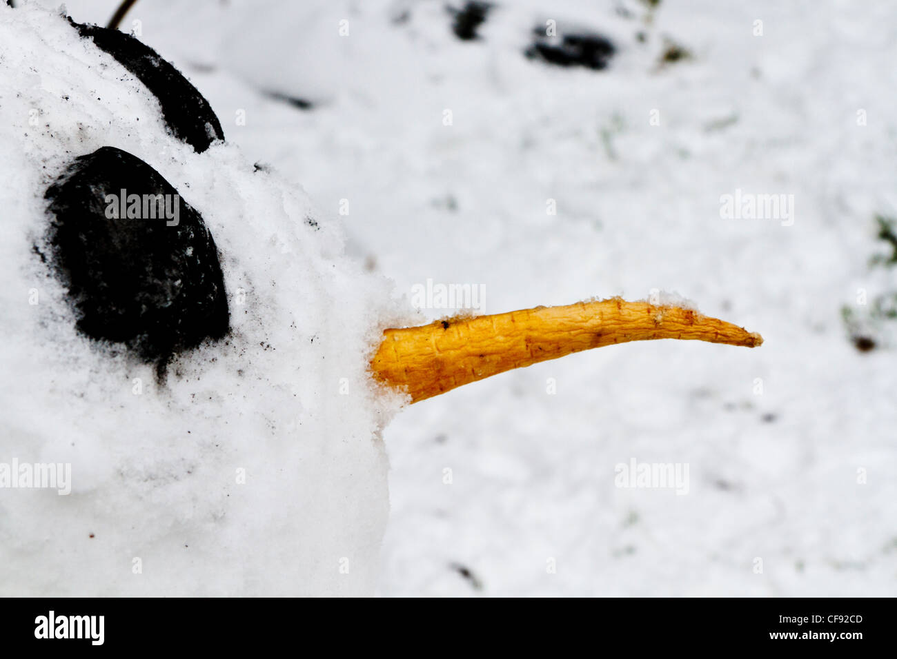 Coal eyes hires stock photography and images Alamy