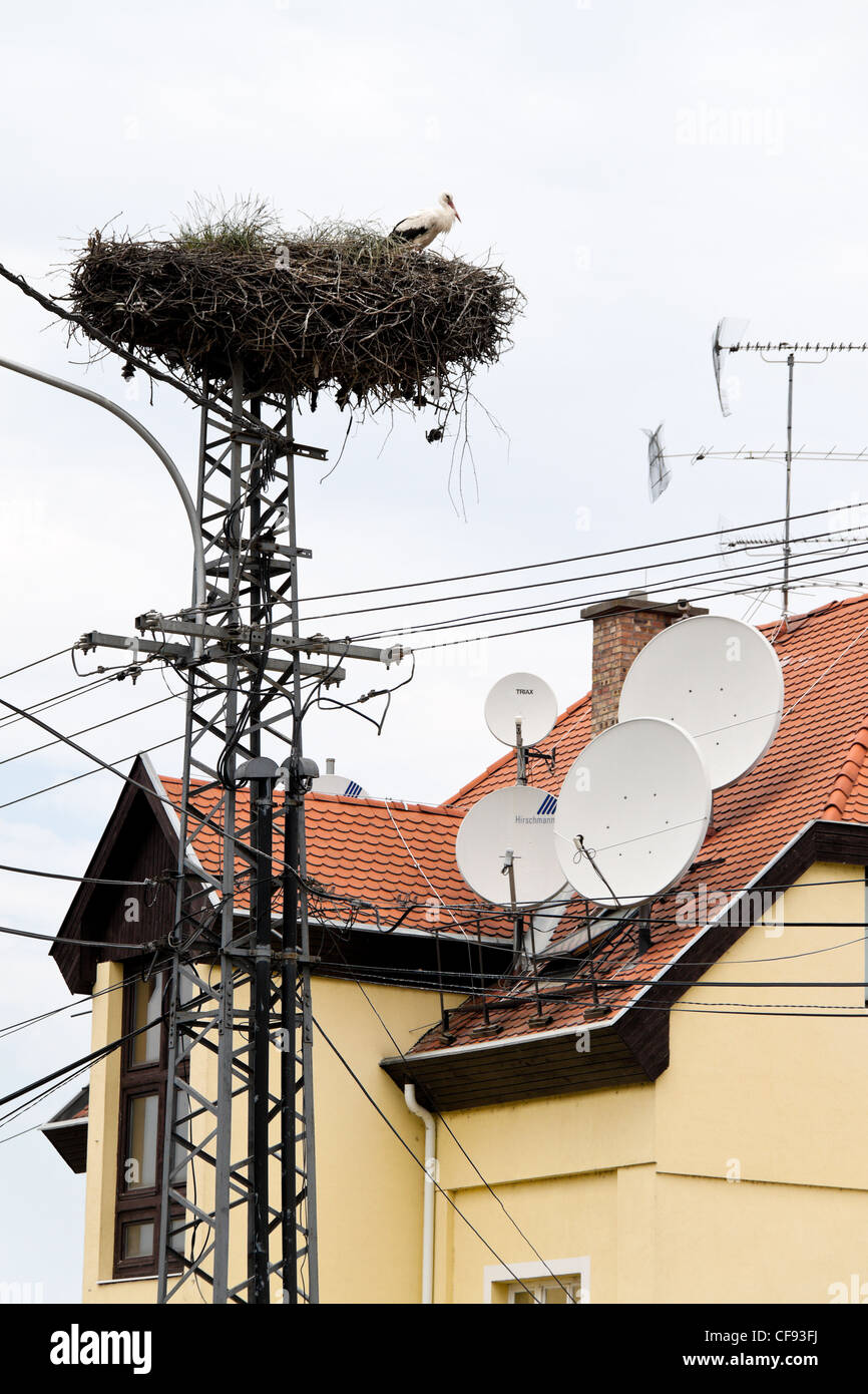 a satellite antenna to receive different tv channels Stock Photo
