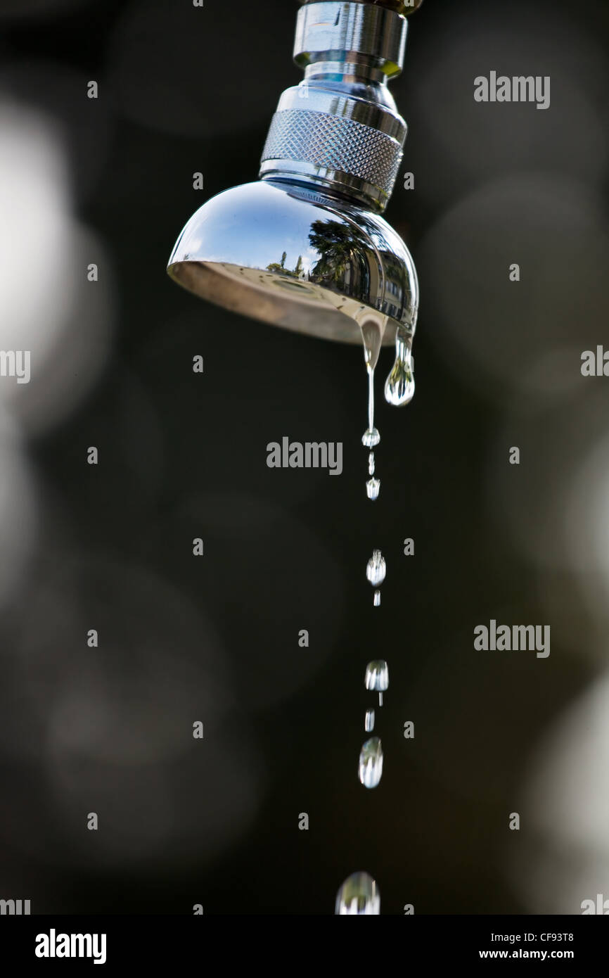 the water drops of a shower. shower is in the garden Stock Photo