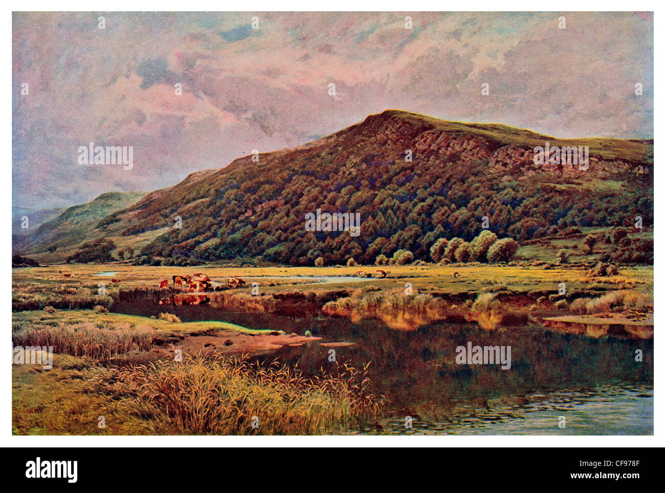 Illustrated mirror hi-res stock photography and images - Alamy
