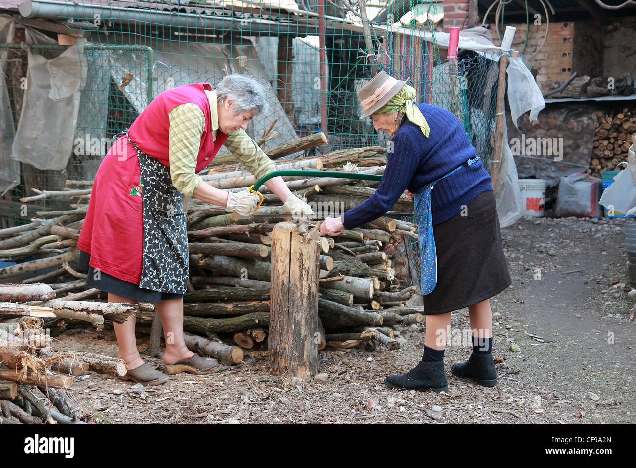 two elder women cutting wood with handsaw Stock Photo