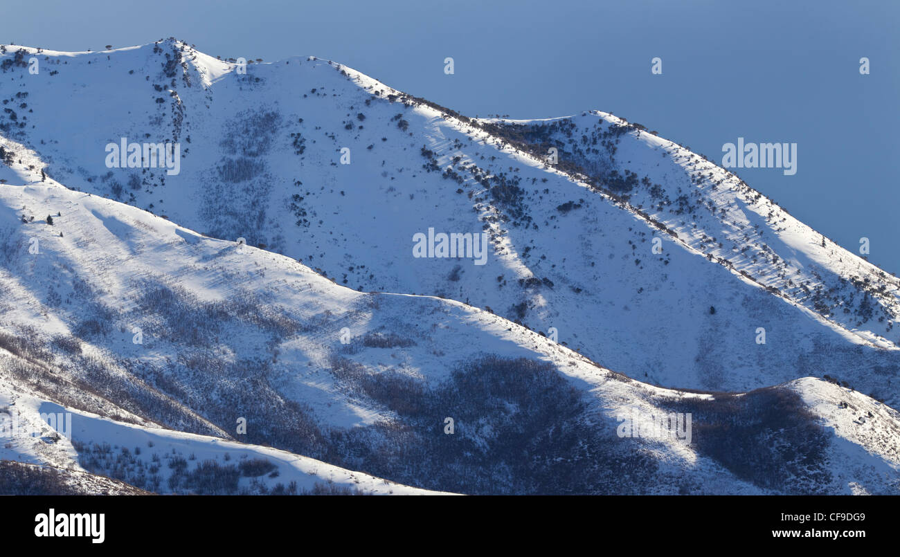 Late afternoon sun on snow-covered ridges in the Wasatch Range just east of Salt Lake City, Utah. Stock Photo