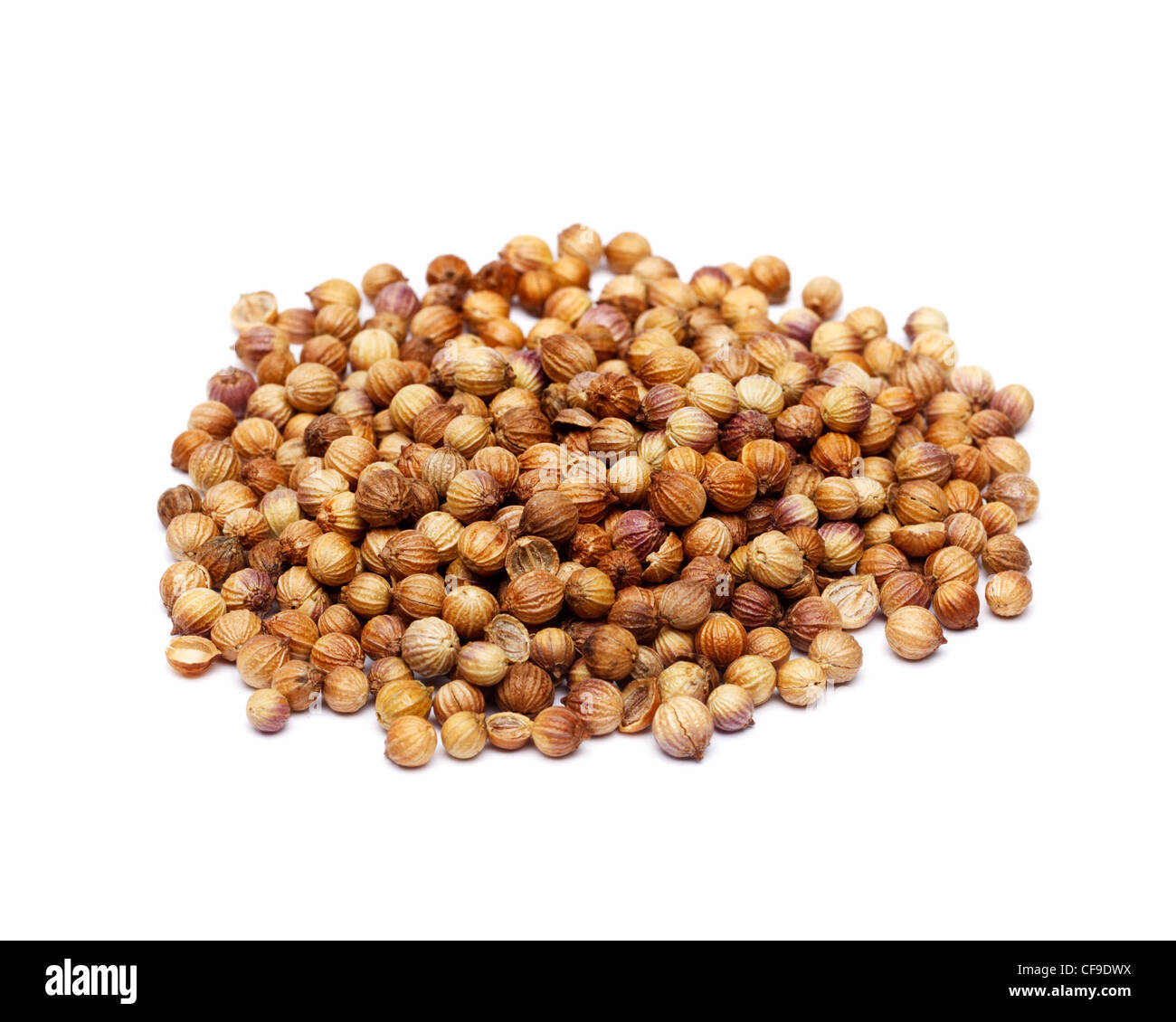 Coriander seeds on white background Stock Photo Alamy