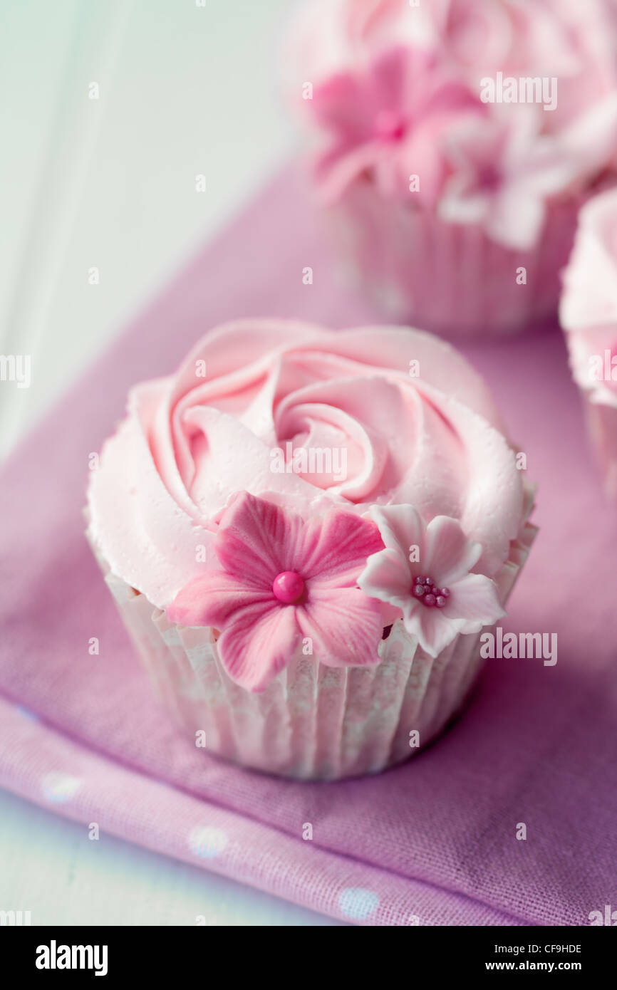 Rose cupcakes Stock Photo
