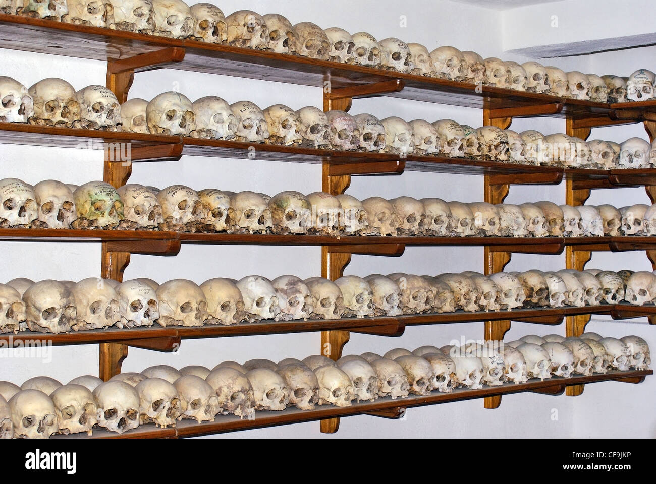 Craniums in bone keeping construction Stock Photo