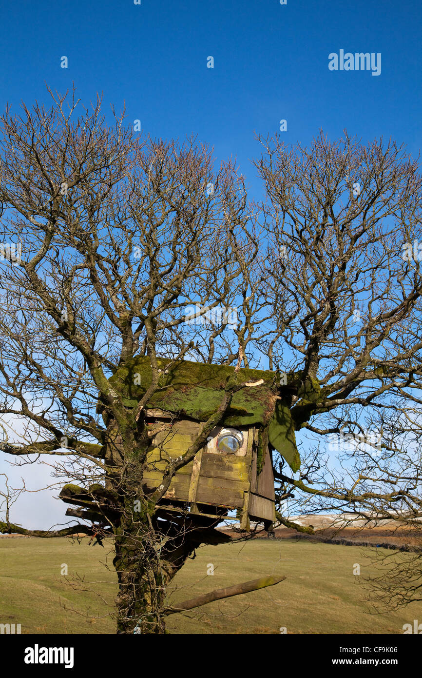 Dilapidated Tree-house on Property near Newby Head Pass, North Yorkshire National Park, UK Stock Photo