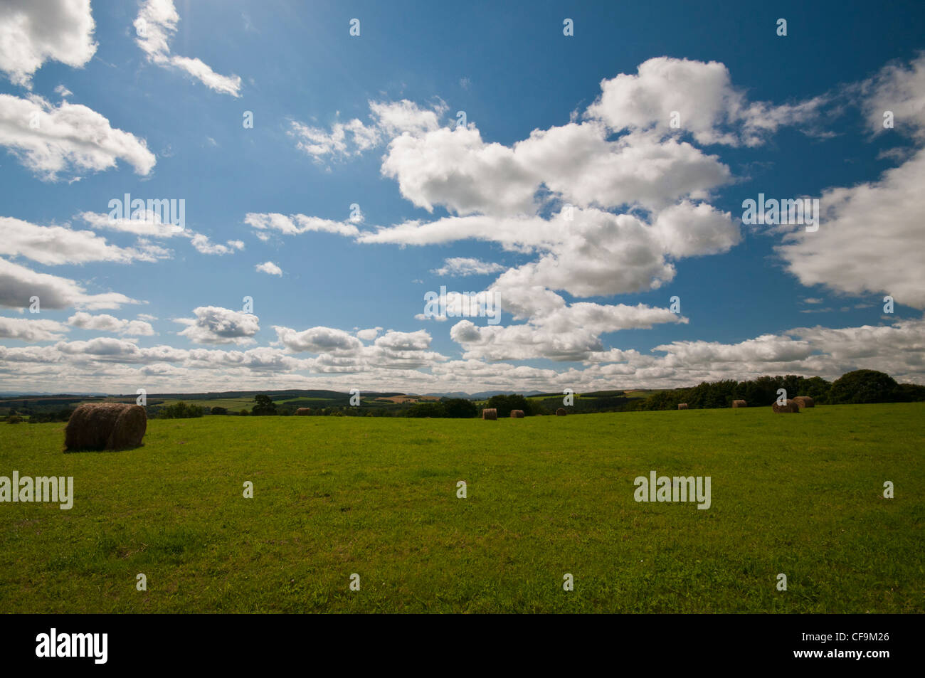 Ainstable High Resolution Stock Photography and Images - Alamy
