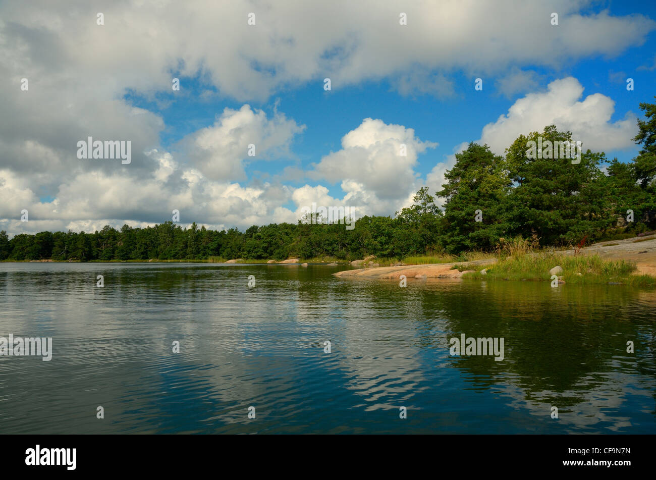 Illustration of Sjörå, a sea spirit from local folklore