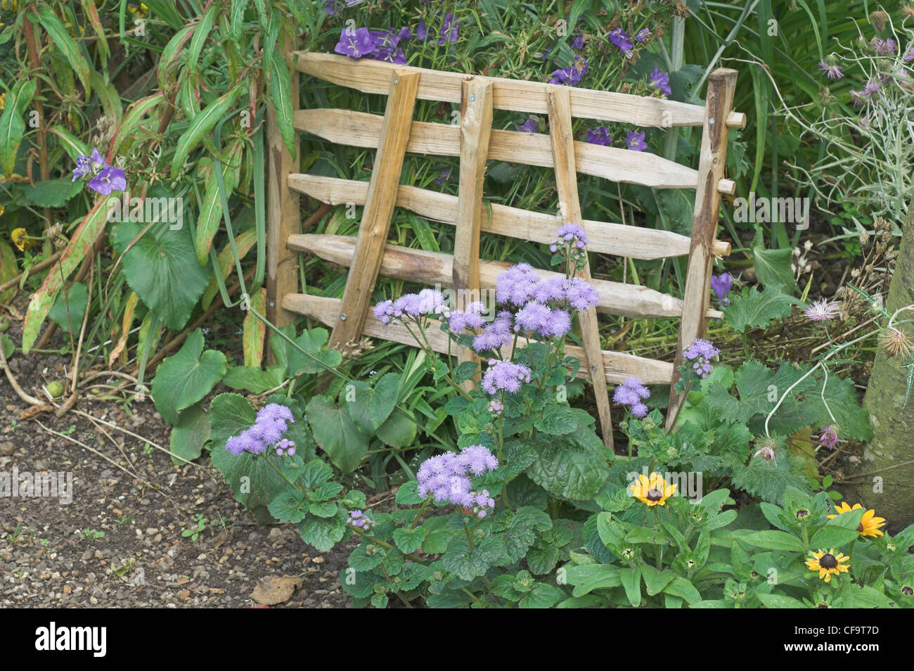 rustic hurdle feature with summer flowers Stock Photo
