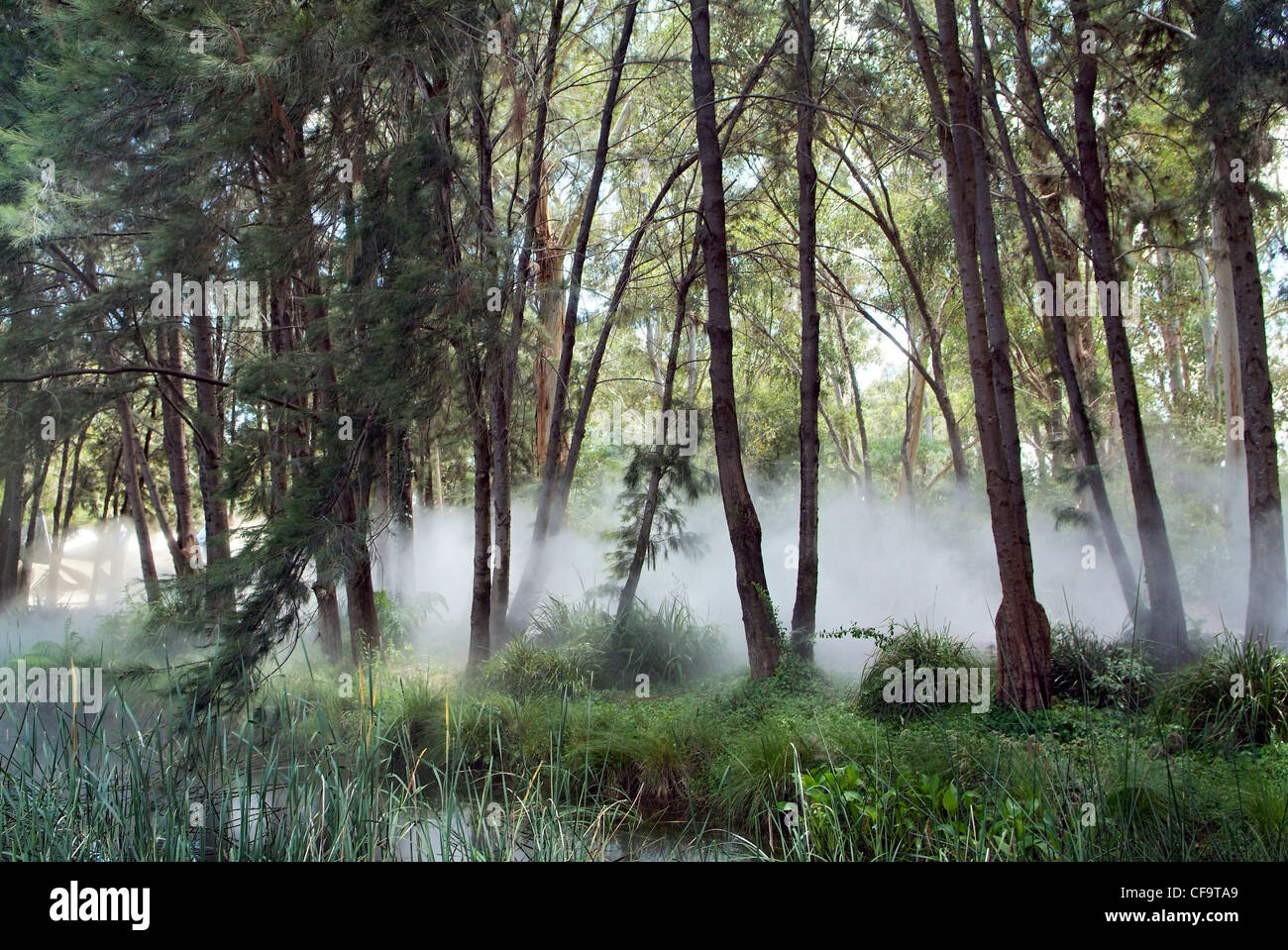 National gallery australia canberra sculpture hi-res stock photography ...