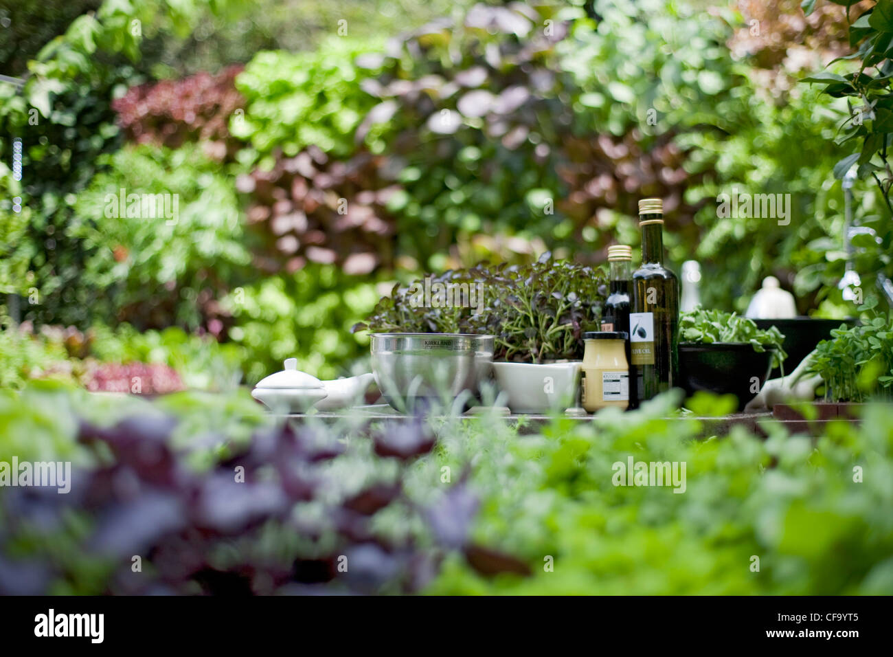 Chelsea Flower Show Detail Image Of Outdokitchen Herbs Bowls And