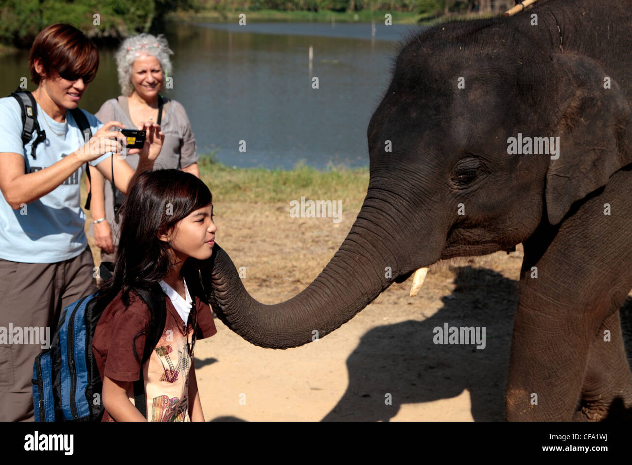Elephant training school at Lampang, Thailand Stock Photo