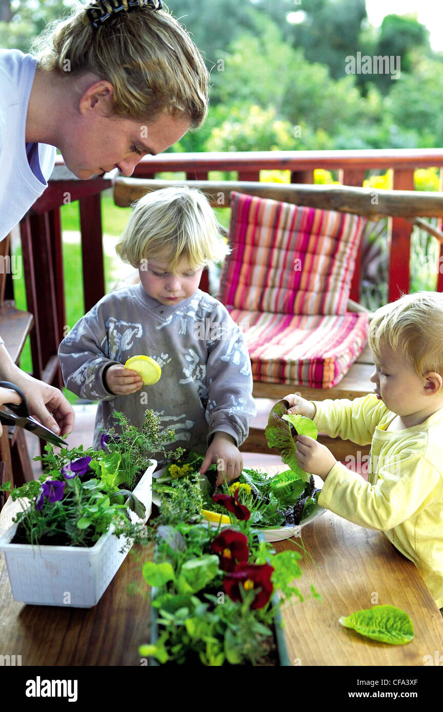 Plant a herb window box Start a layer of gravel at the bottom of the