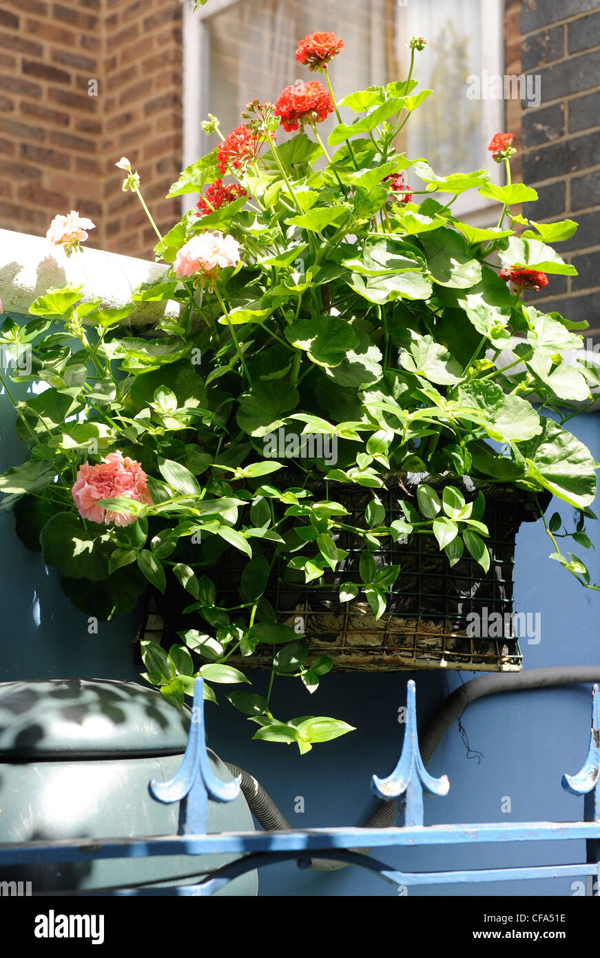Wall mounted gardens hi-res stock photography and images - Alamy