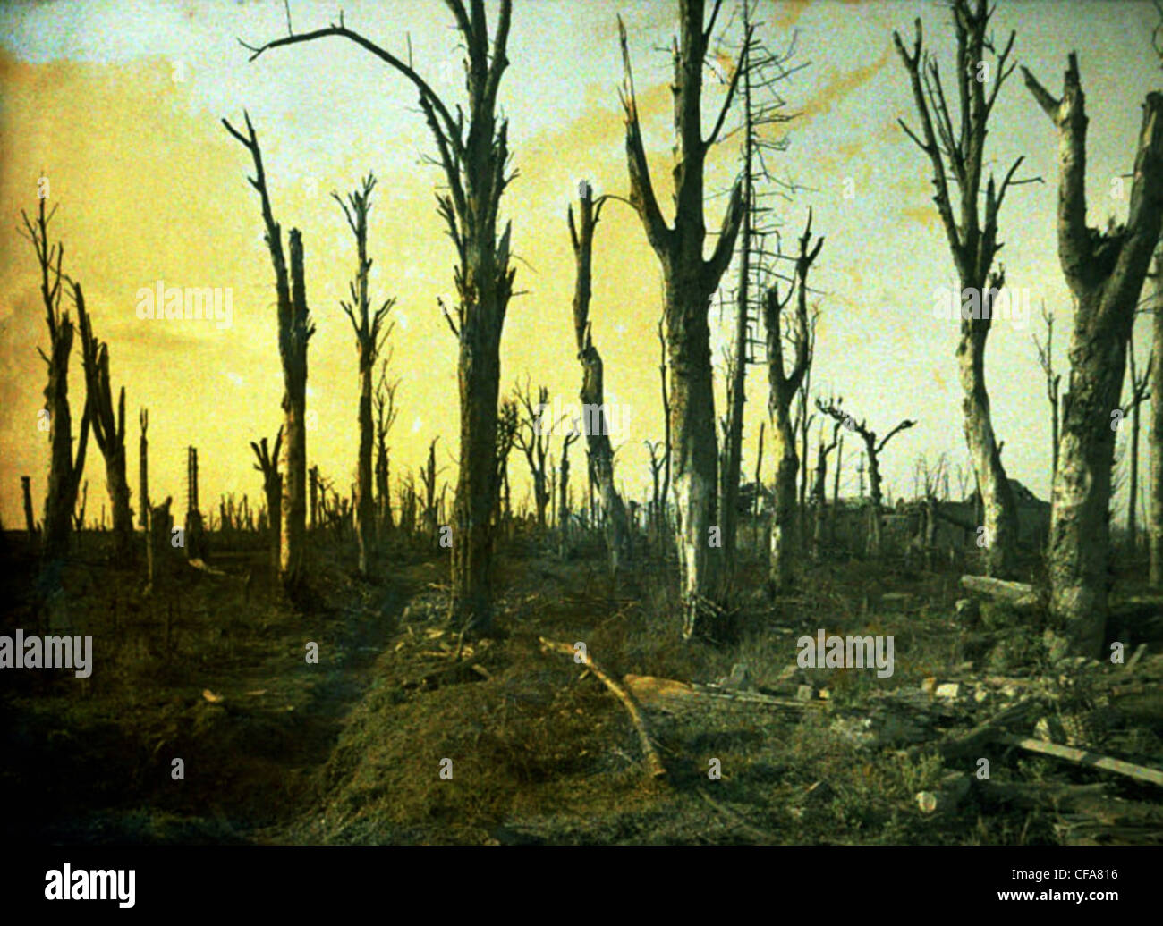 War, Europe, world war I, 1917, Europe, world war, color photo