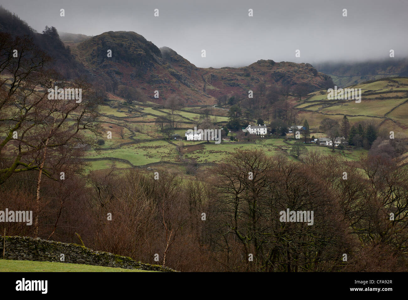 The Nook and Cowsty Knotts at Kentmere in the Kentmere Valley, near Staveley, Windermere, Cumbria Stock Photo