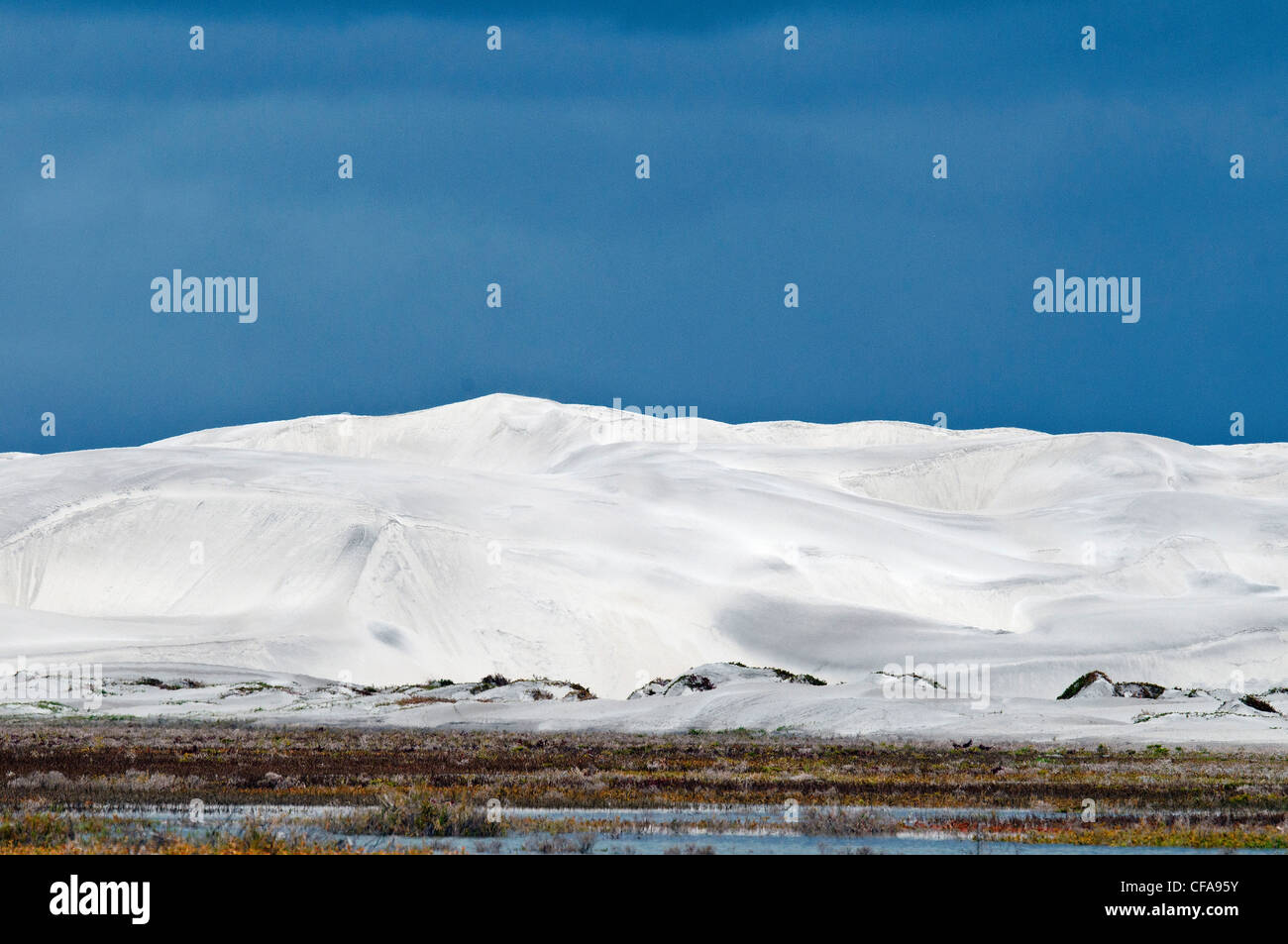 sand dunes, laguna ojo de liebre, scammon's lagoon, parque natural