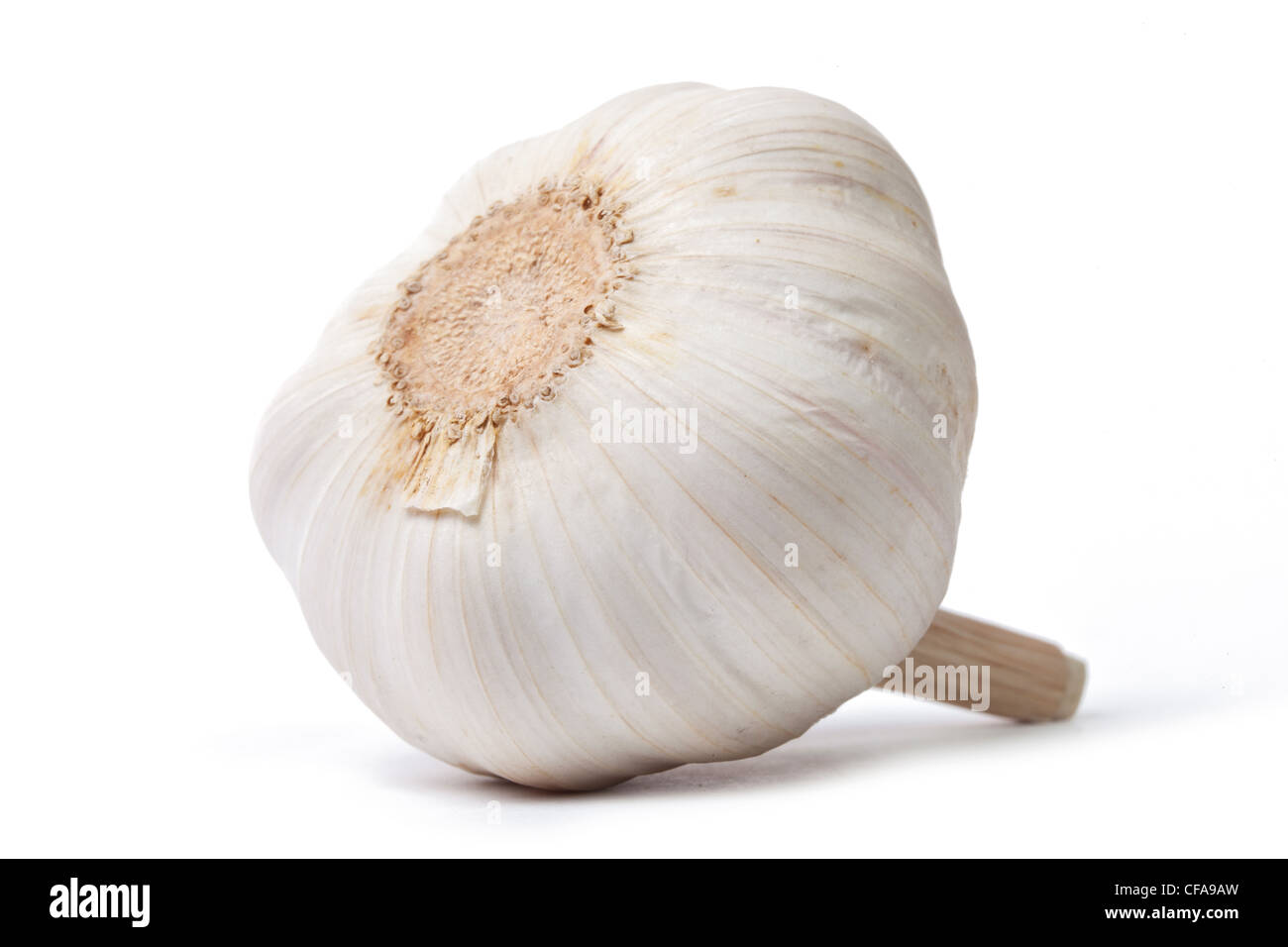 Single garlic bulb isolated on white background with shadow Stock Photo ...